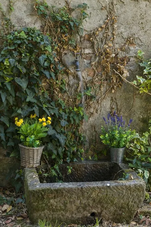 Casa Ortensia Apartment Lucca